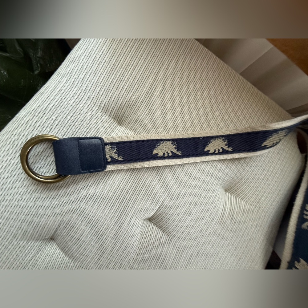 Gap Boys Blue & Cream Dinosaur Belt w/Brass Buckle adjustable sz 2-5 year old - Picture 7 of 7